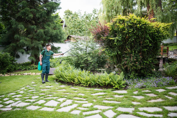 Best Ant Control Services  in Wyoming, MN