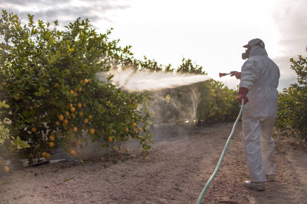 Best Emergency Pest Control  in Wyoming, MN