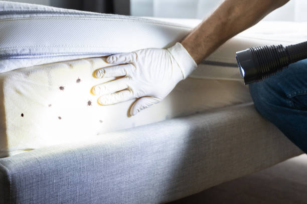 Best Exterminator Services  in Wyoming, MN